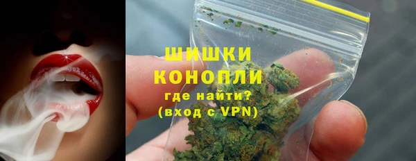 PSILOCYBIN Балабаново