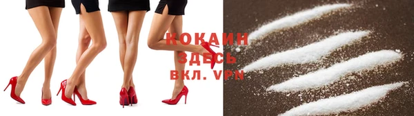 PSILOCYBIN Балабаново