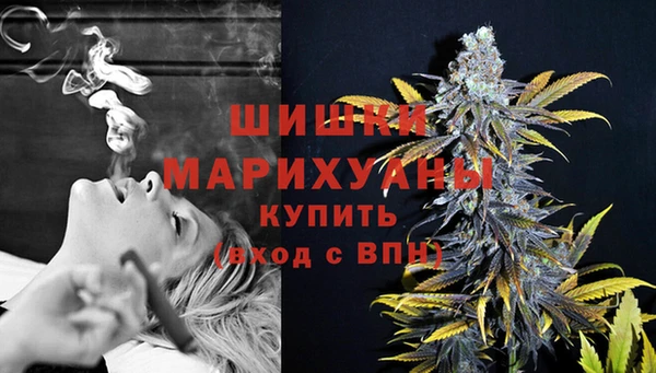 PSILOCYBIN Балабаново