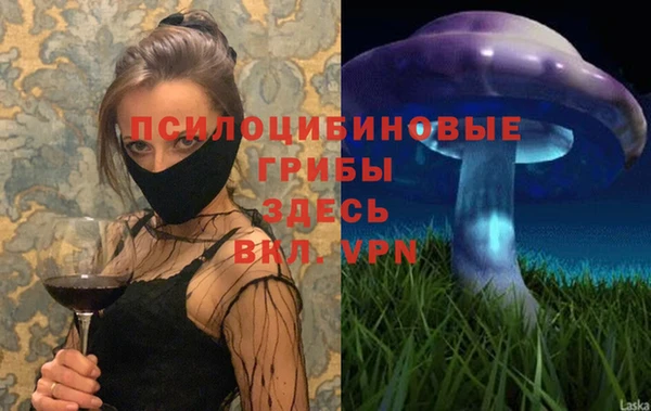 мдпв Майский