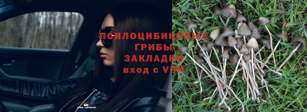 PSILOCYBIN Балабаново