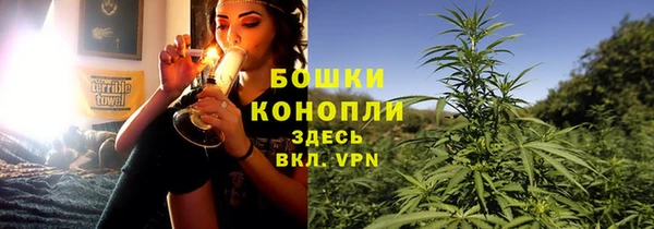стаф Баксан